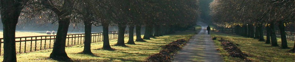 Asuf’s PgCert Blog